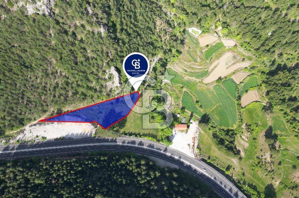 Muğla Ana Yol Üzeri Yüksek Görünürlüklü 3919m2 Satılık Arazi