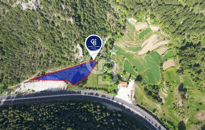 Muğla Ana Yol Üzeri Yüksek Görünürlüklü 3919m2 Satılık Arazi