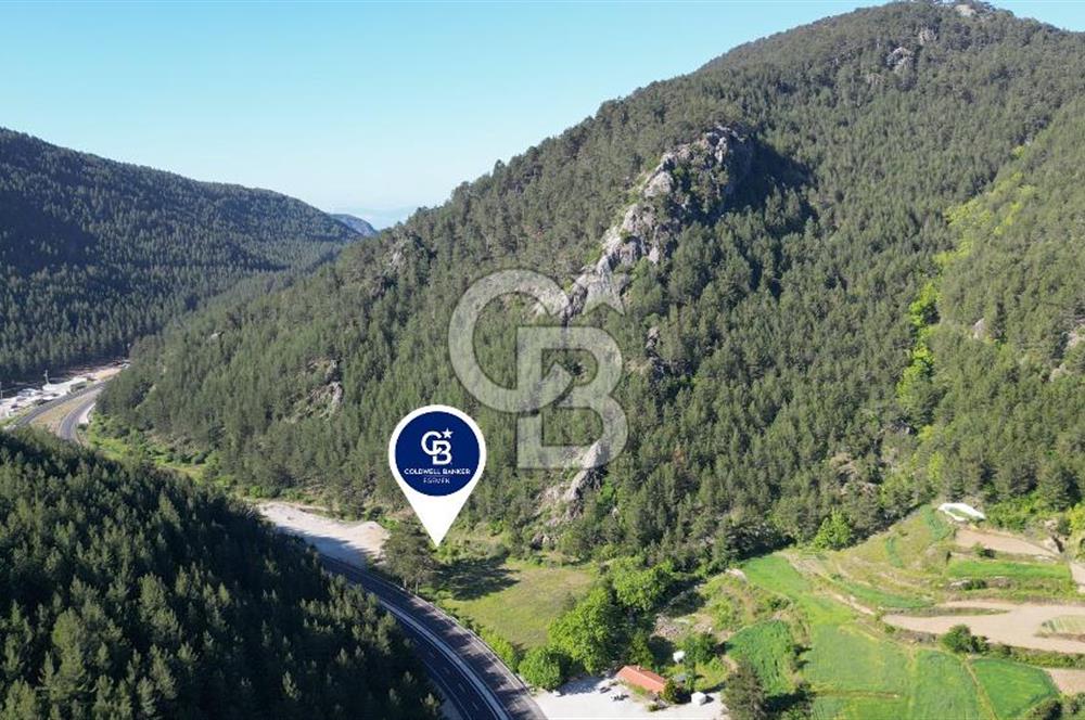 Muğla Ana Yol Üzeri Yüksek Görünürlüklü 3919m2 Satılık Arazi