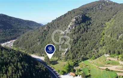 Muğla Ana Yol Üzeri Yüksek Görünürlüklü 3919m2 Satılık Arazi