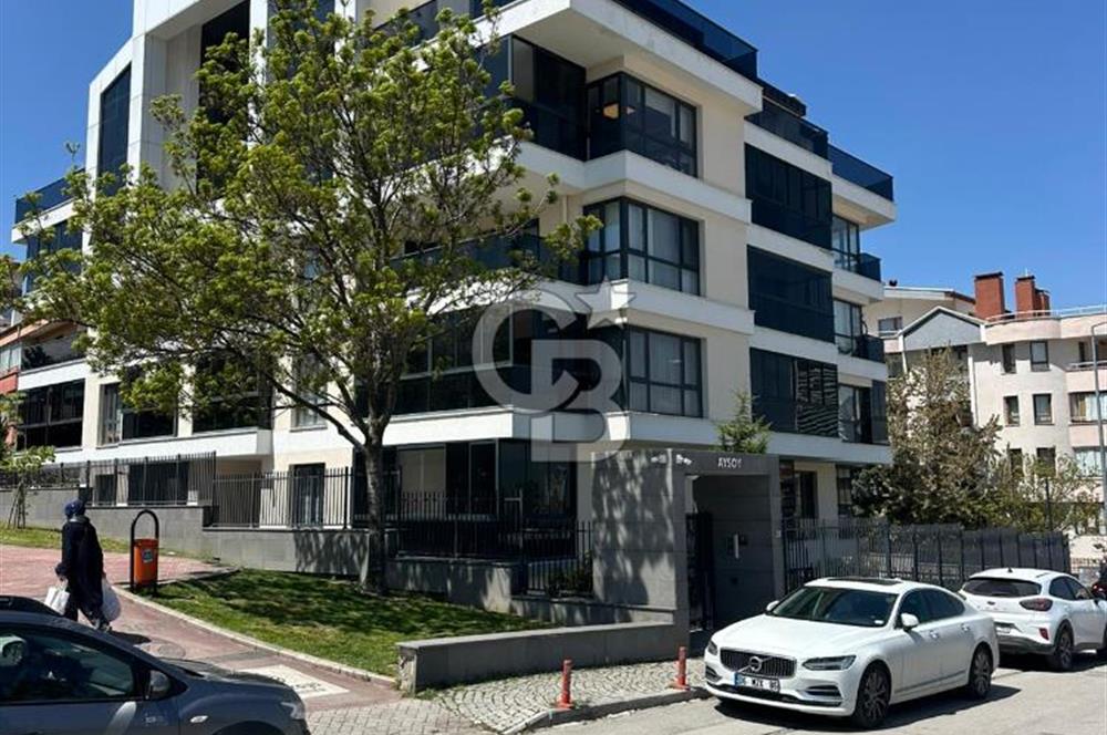 Market, Showroom, Kurumsal Firmalara Uygun 600M2 Kiralık Dükkan