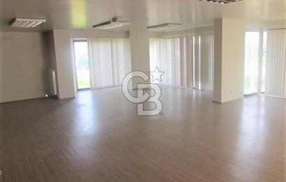 YALOVA ÇİFTLİKKÖY TAŞKÖPRÜ KİRALIK PLAZA! 5 KAT 1550M2