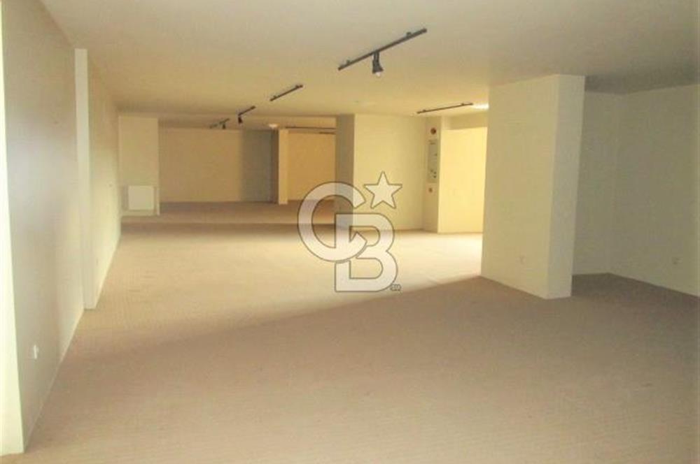 YALOVA ÇİFTLİKKÖY TAŞKÖPRÜ KİRALIK PLAZA! 5 KAT 1550M2