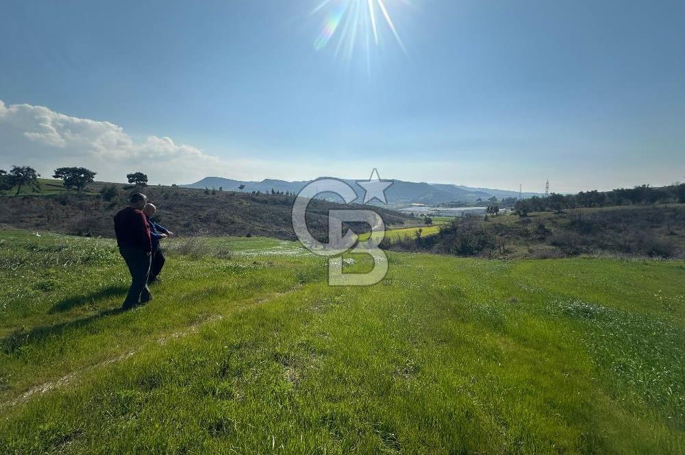 Çanakkale Merkez Kurşunlu Köyünde Satılık Tarla