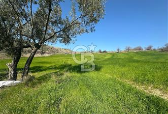 Çanakkale Merkez Kurşunlu Köyünde Satılık Tarla - 1 - 348598