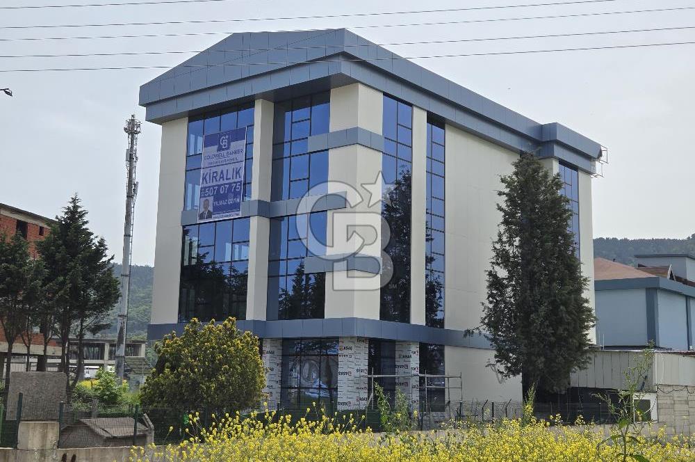 YALOVA ÇİFTLİKKÖY TAŞKÖPRÜ KİRALIK PLAZA! 5 KAT 1550M2