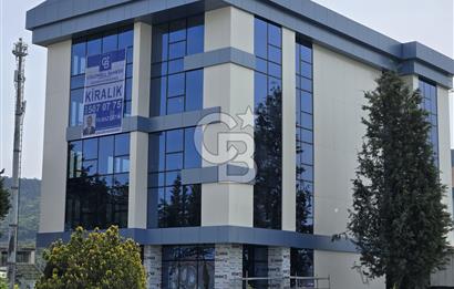 YALOVA ÇİFTLİKKÖY TAŞKÖPRÜ KİRALIK PLAZA! 5 KAT 1550M2