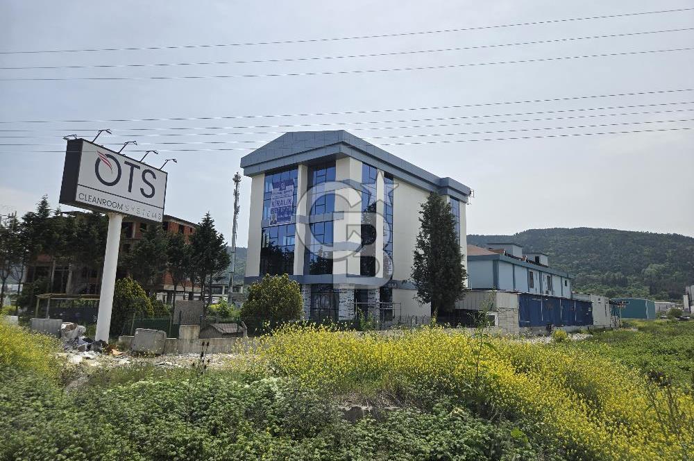 YALOVA ÇİFTLİKKÖY TAŞKÖPRÜ KİRALIK PLAZA! 5 KAT 1550M2