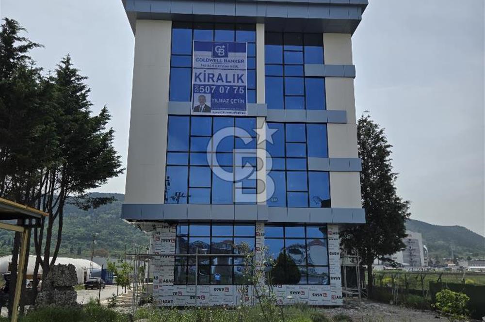 YALOVA ÇİFTLİKKÖY TAŞKÖPRÜ KİRALIK PLAZA! 5 KAT 1550M2