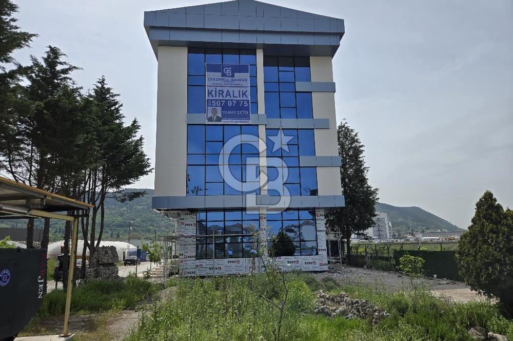 YALOVA ÇİFTLİKKÖY TAŞKÖPRÜ KİRALIK PLAZA! 5 KAT 1550M2