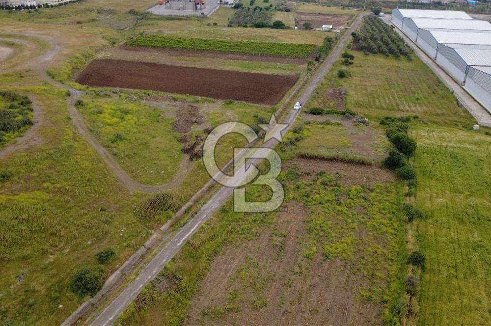 CB ODAK'TAN MENEMEN TÜRKELLİDE YATIRIMLIK TARLA