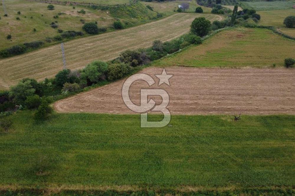CB ODAK'TAN ALİAĞA GÜZELHİSARDA YATIRIMLIK VERİMLİ TARLA