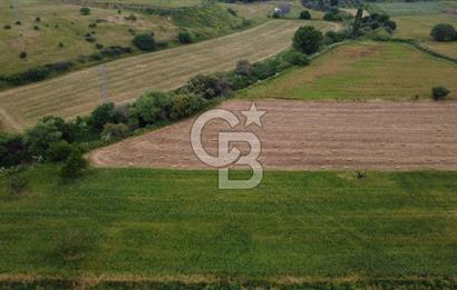 CB ODAK'TAN ALİAĞA GÜZELHİSARDA YATIRIMLIK VERİMLİ TARLA