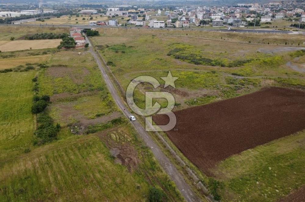 CB ODAK'TAN MENEMEN TÜRKELLİDE YATIRIMLIK TARLA