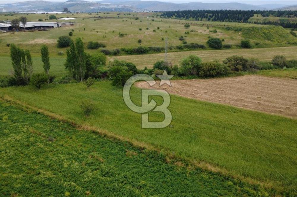 CB ODAK'TAN ALİAĞA GÜZELHİSARDA YATIRIMLIK VERİMLİ TARLA