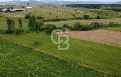 CB ODAK'TAN ALİAĞA GÜZELHİSARDA YATIRIMLIK VERİMLİ TARLA