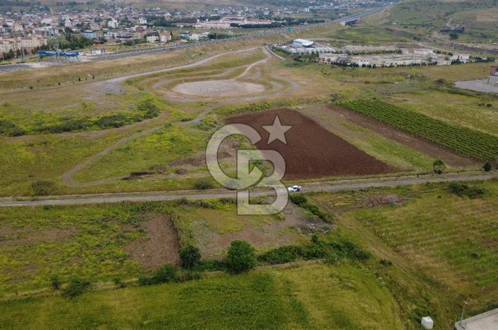 CB ODAK'TAN MENEMEN TÜRKELLİDE YATIRIMLIK TARLA