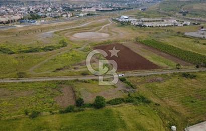 CB ODAK'TAN MENEMEN TÜRKELLİDE YATIRIMLIK TARLA
