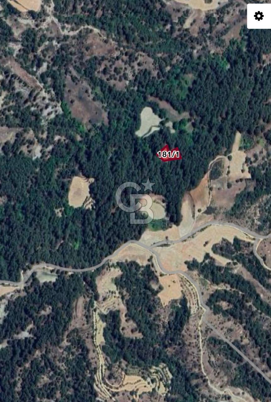 Muğla-Menteşe-Bozyer Ky., 1.757,07 m², Tek Tapu Tarla