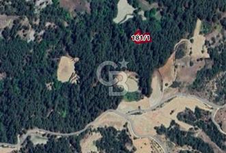 Muğla-Menteşe-Bozyer Ky., 1.757,07 m², Tek Tapu Tarla - 1 - 348668