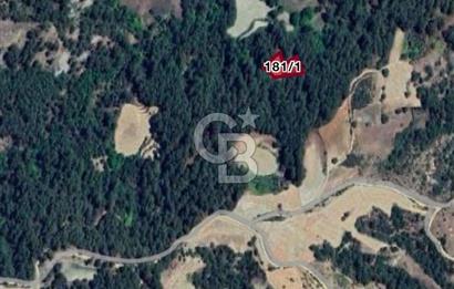 Muğla-Menteşe-Bozyer Ky., 1.757,07 m², Tek Tapu Tarla