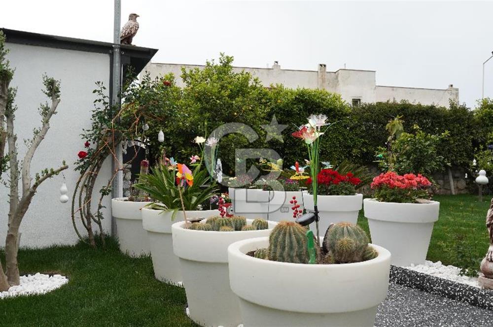 BODRUM TÜRKBÜKÜ'NDE KİRALIK MÜSTAKİL BAHÇELİ & HAVUZLU LÜKS 4+1 VİLLA