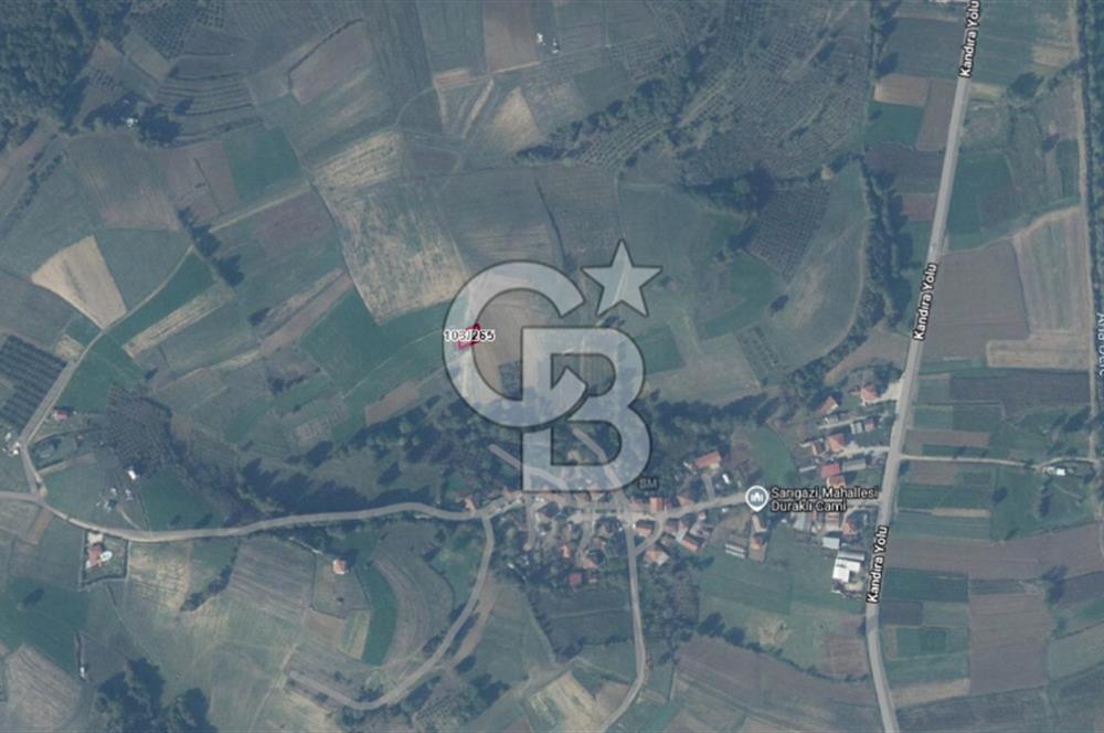 Kandıra Sarıgazide Merkeze Yakın 302 m² Yatırımlık Tarla
