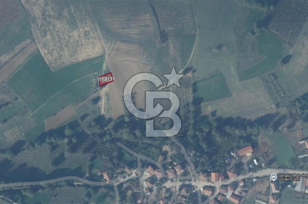 Kandıra Sarıgazide Merkeze Yakın 302 m² Yatırımlık Tarla