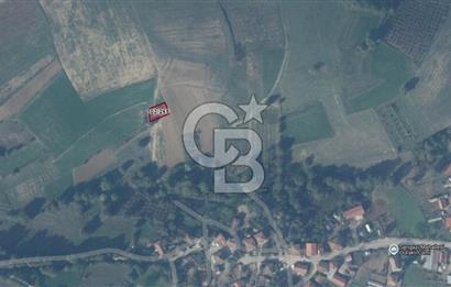 Kandıra Sarıgazide Merkeze Yakın 302 m² Yatırımlık Tarla