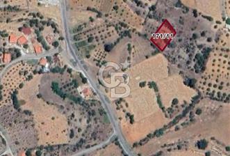 Muğla-Menteşe-Günlüce Ky., 1162,51 m², Tek Tapu Tarla - 1 - 348667
