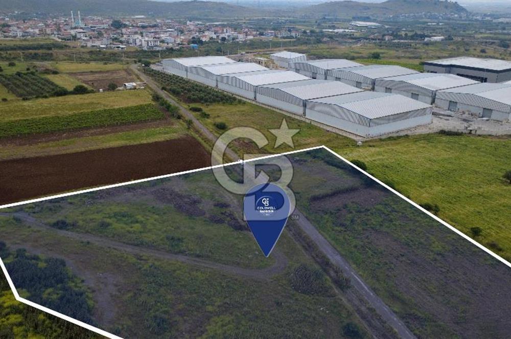 CB ODAK'TAN MENEMEN TÜRKELLİDE YATIRIMLIK TARLA
