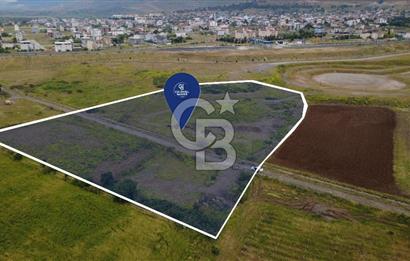 CB ODAK'TAN MENEMEN TÜRKELLİDE YATIRIMLIK TARLA