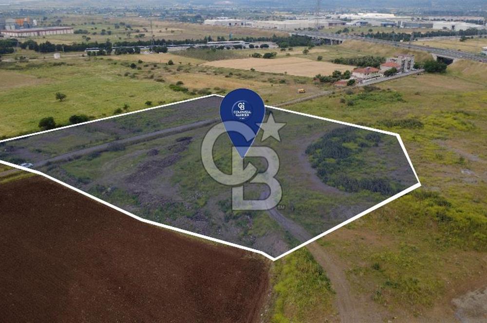 CB ODAK'TAN MENEMEN TÜRKELLİDE YATIRIMLIK TARLA