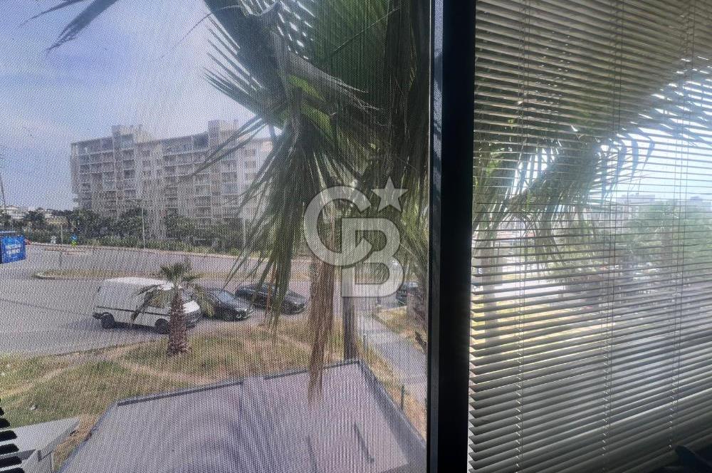 Siesta Meydan AVM'de 76m2 Kiralık Dükkan