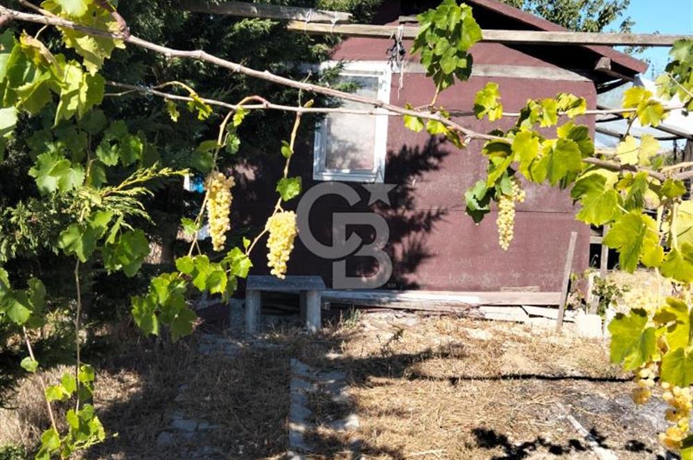 SATILIK ÇATALCA İLÇESİ İZZETTİN MAHALLESİ