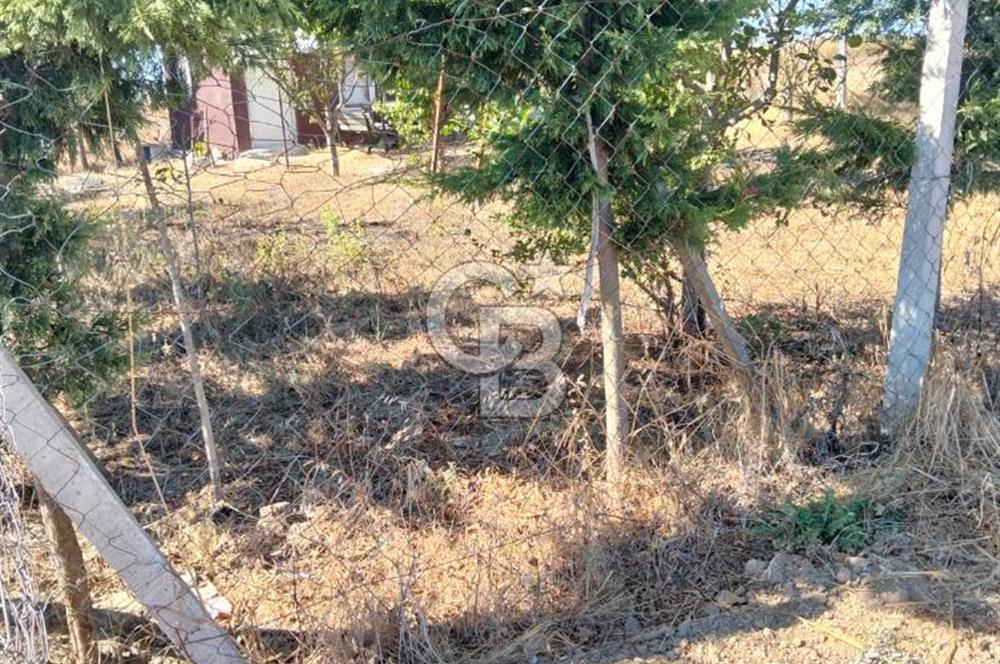 SATILIK ÇATALCA İLÇESİ İZZETTİN MAHALLESİ