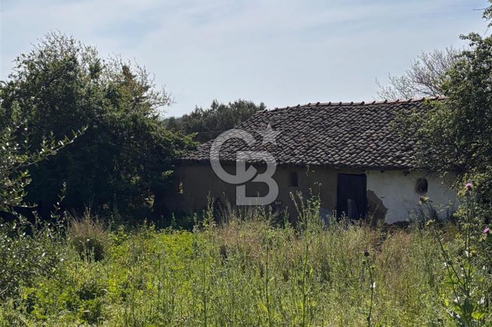 •	Bursa Karacabey Dağkadı’da Köy İçinde Yapı Kayıtlı Köşe Arsa, Hem Ev Hem Zeytinlik.