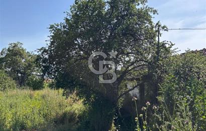 •	Bursa Karacabey Dağkadı’da Köy İçinde Yapı Kayıtlı Köşe Arsa, Hem Ev Hem Zeytinlik.
