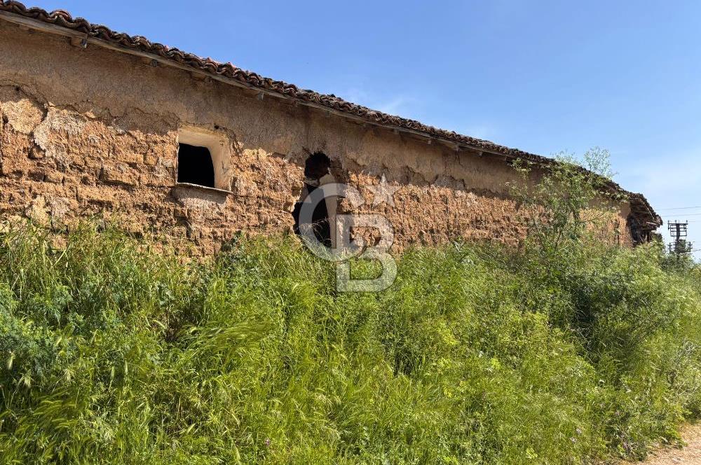 •	Bursa Karacabey Dağkadı’da Köy İçinde Yapı Kayıtlı Köşe Arsa, Hem Ev Hem Zeytinlik.