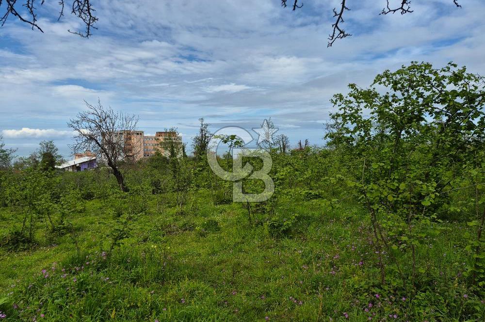 Giresun Bulancakta Satılık Arsa