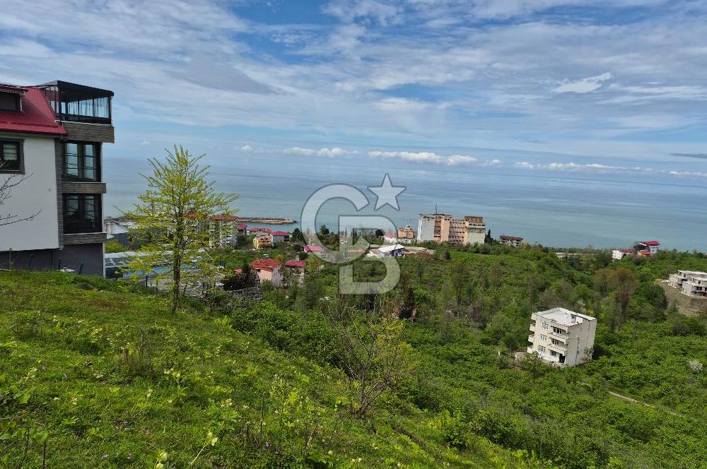 Giresun Bulancakta Satılık Arsa