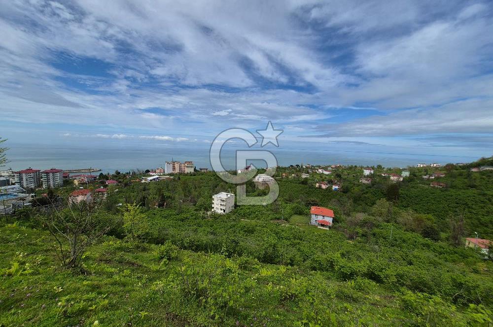 Giresun Bulancakta Satılık Arsa
