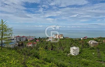 Giresun Bulancakta Satılık Arsa