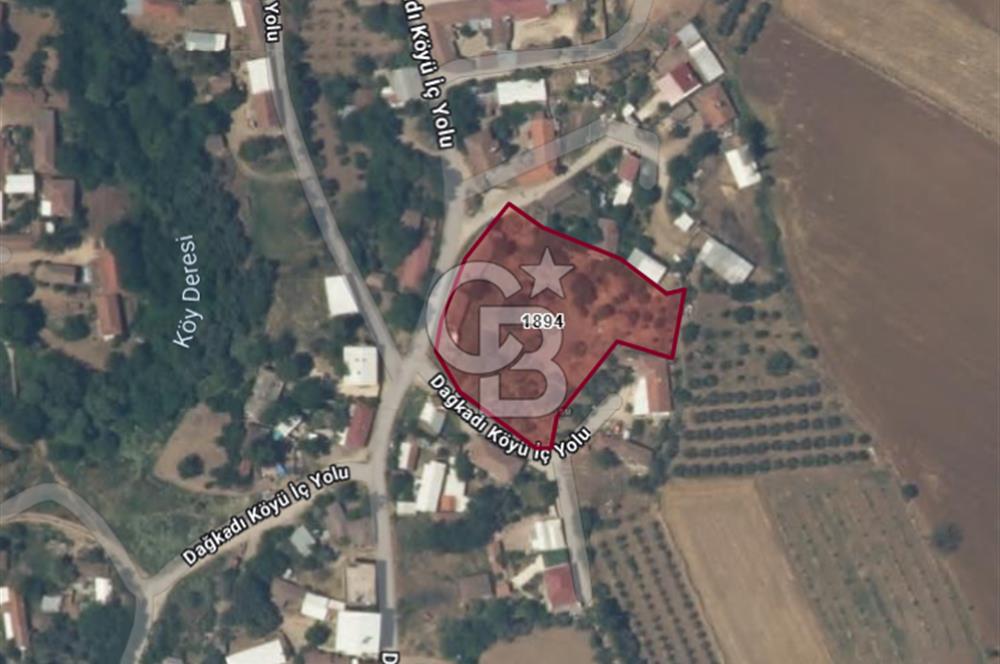 •	Bursa Karacabey Dağkadı’da Köy İçinde Yapı Kayıtlı Köşe Arsa, Hem Ev Hem Zeytinlik.