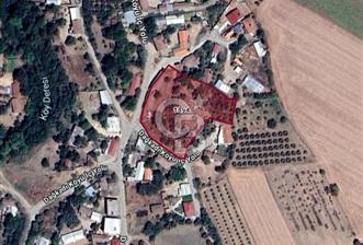 •	Bursa Karacabey Dağkadı’da Köy İçinde Yapı Kayıtlı Köşe Arsa, Hem Ev Hem Zeytinlik. - 1 - 348693