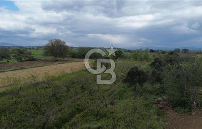 ÇANAKKALE BAYRAMİÇ AHMETÇELİ KÖYÜNDE SATILIK MEYVE BAHÇESİ