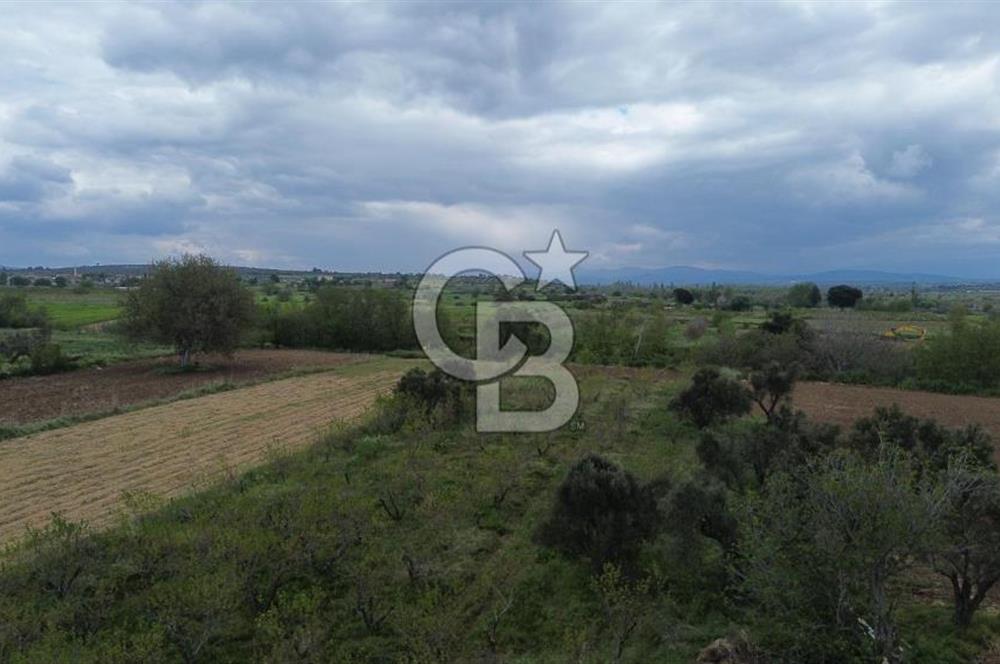 ÇANAKKALE BAYRAMİÇ AHMETÇELİ KÖYÜNDE SATILIK MEYVE BAHÇESİ