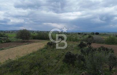 ÇANAKKALE BAYRAMİÇ AHMETÇELİ KÖYÜNDE SATILIK MEYVE BAHÇESİ