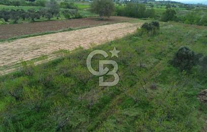 ÇANAKKALE BAYRAMİÇ AHMETÇELİ KÖYÜNDE SATILIK MEYVE BAHÇESİ
