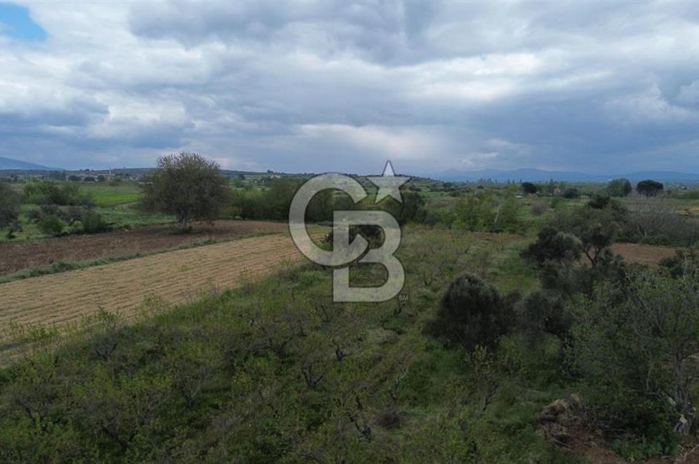 ÇANAKKALE BAYRAMİÇ AHMETÇELİ KÖYÜNDE SATILIK MEYVE BAHÇESİ